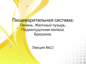 Пищеварительная система. Печень. Желчный пузырь. Поджелудочная железа. Брюшина