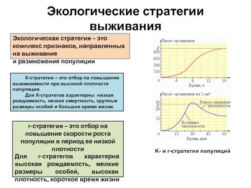 Фактор ограничивающий рост популяции