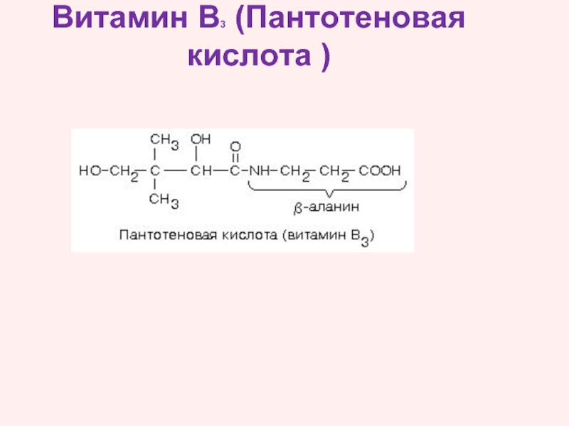 Пантотеновая кислота в детских кашах