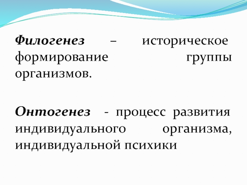 Индивидуальный организм. Объект художественного отражения это.