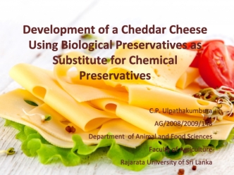 Development of a Cheddar Cheese Using Biological Preservatives as Substitute for Chemical Preservatives