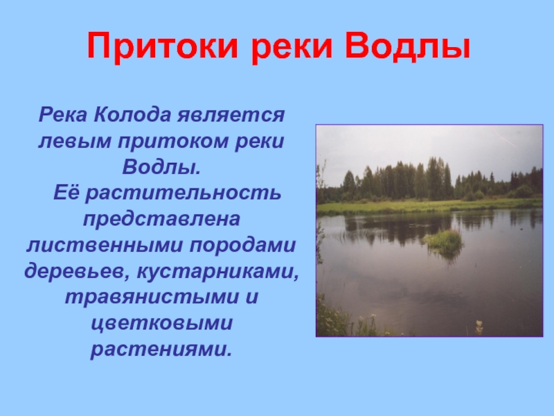 Что такое приток. Притоки реки Водлы. Приток реки это. Приток это определение. Притоки реки Теза.