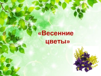 Весенние
         цветы