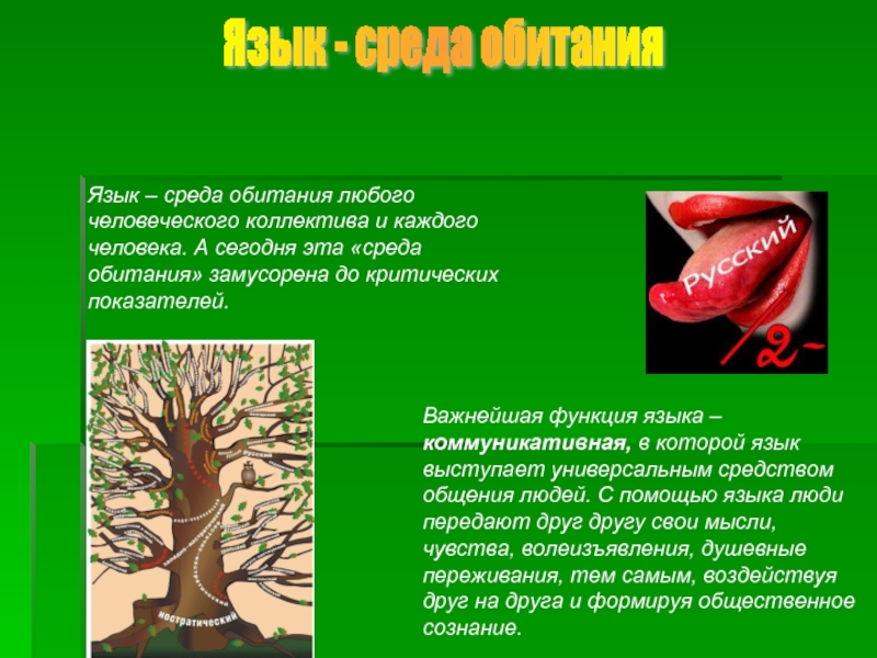 Экология языка. Язык среда обитания народа. Экология языка картинки. Язык среда обитания народа мы дышим речевой продукцией. Экологическая функция языка.