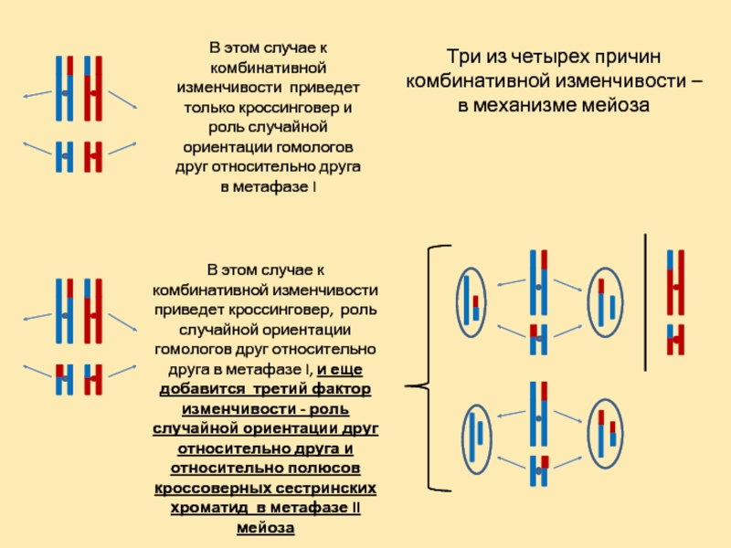 Четыре причины. Комбинативная изменчивость кроссинговер. Механизмы или источники комбинативной изменчивости. Цитологические основы комбинативной изменчивости. Механизмы комбинативной изменчивости таблица.