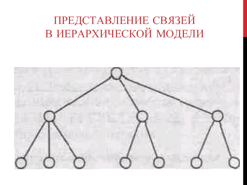 Связь представлений. Представление связей в иерархической модели. Транспортная иерархическая модель. Фиксация иерархических связей. Фронтальная цепная радиальная иерархическая.