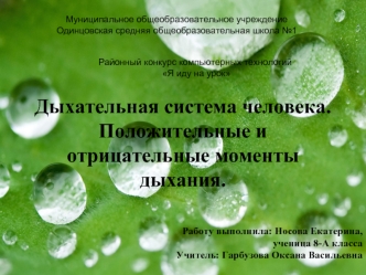 Дыхательная система человека. Положительные и отрицательные моменты дыхания.