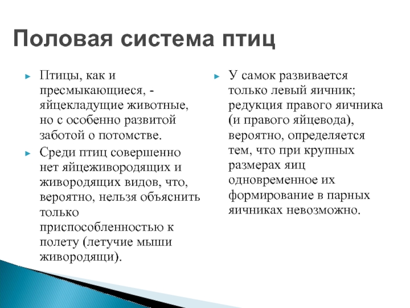 Птицы половая. Половая система птиц. Половая система птиц кратко. Особенности половой системы птиц. Половая характеристика птиц.