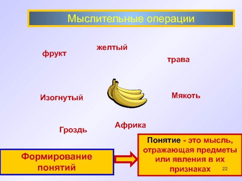 Операция фруктам. Жёлтый понятие. Мыслительные операции с фруктами.