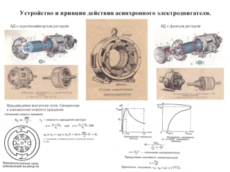 Устройство и принцип действия асинхронного электродвигателя. Билет 2