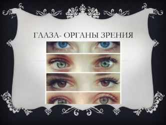 Глаза - органы зрения