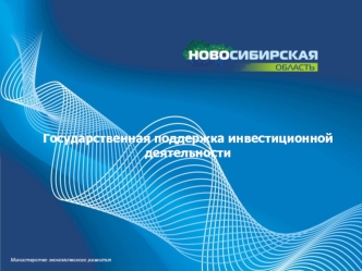 Государственная поддержка инвестиционной деятельности