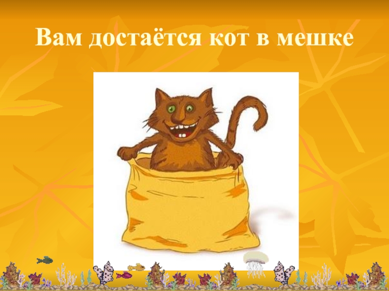 Кот в мешке картинка