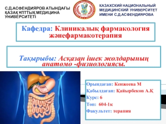 Асқазан ішек жолдарының анатомо -физиологиясы