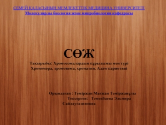 Хромосомалардың құрылымы мен түрі Хромомера, хромонема, хроматин. Адам кариотипі