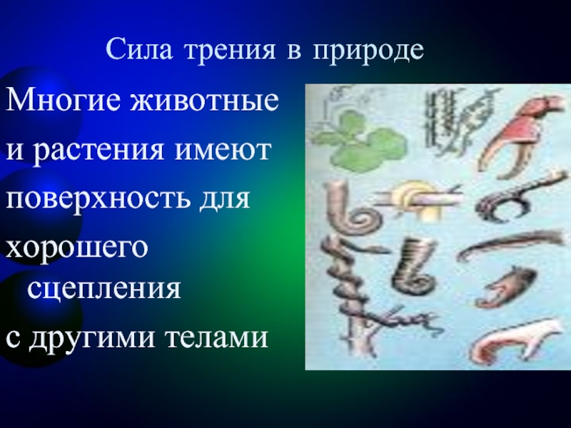 Какова природа силы трения. Трение в природе. Презентация на тему трение в природе. Роль трения в природе. Роль силы трения в природе.