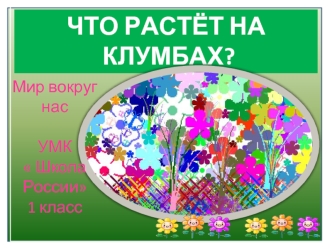 ЧТО РАСТЁТ НА
 КЛУМБАХ?