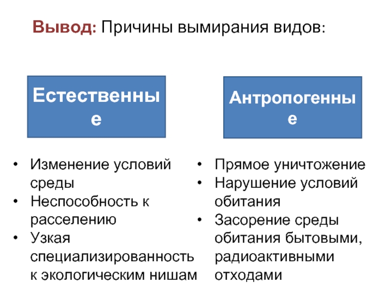 Причины вымирания. Вымирание видов причины вымирания видов. Причины вымирания выдры. Причины вымирания видов биология. Причины исчезновения видов.