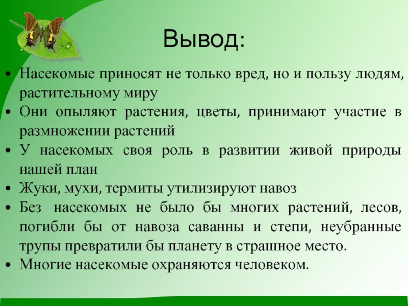 Вред и польза насекомых для дошкольников презентация