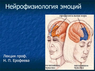Нейрофизиология эмоций