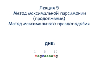 Метод максимальной парсимонии (продолжение). Метод максимального правдоподобия