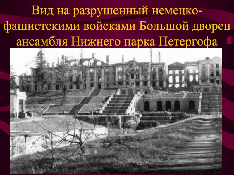 Вид на разрушенный немецко-фашистскими войсками Большой дворец ансамбля Нижнего парка Петергофа