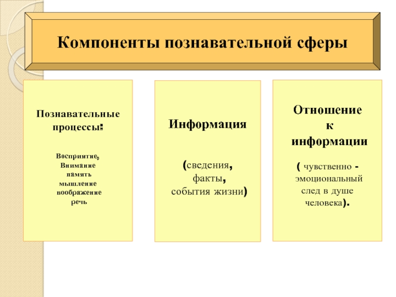 Познавательная сфера