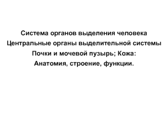 Система органов выделения человека. Центральные органы выделительной системы. Кожа: анатомия, строение, функции