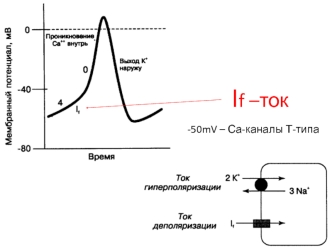 Золотой стандарт диагностики