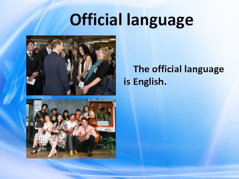 Official language      The official language is English.