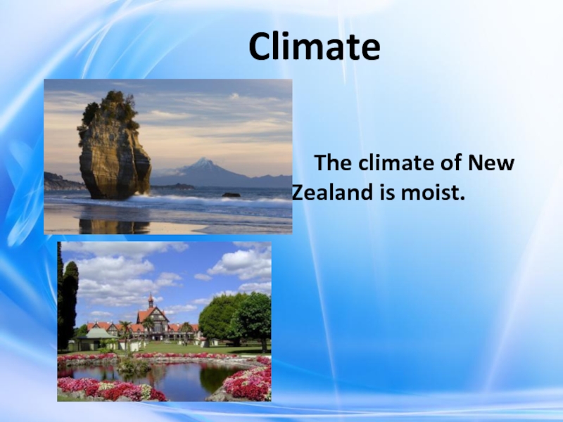 Climate      The climate of New Zealand is moist.