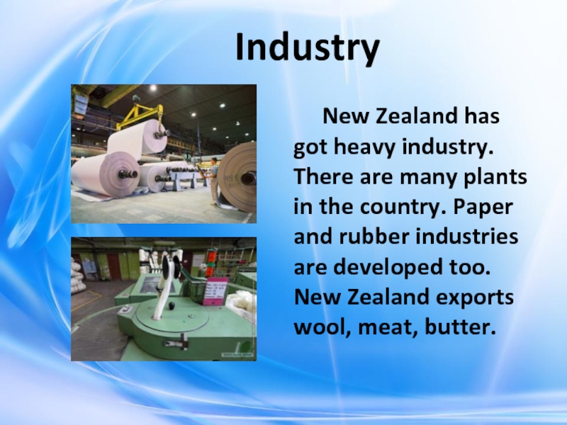 Industry    New Zealand has got heavy industry. There are many plants