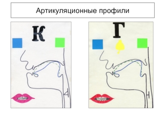 Артикуляционные профили