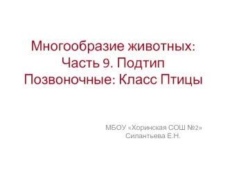 Многообразие животных: Подтип Позвоночные. Класс Птицы