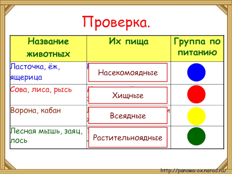 Вводными документами для составления устава проекта является все нижеследующее кроме