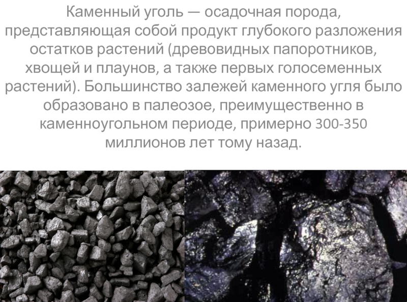 Образование залежей каменного угля