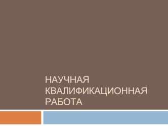 Научная квалификационная работа