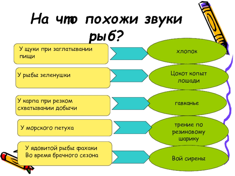 Сигналы для рыб. Звуки рыбы сирены. Звуки рыб. Значение звука в жизни человека.