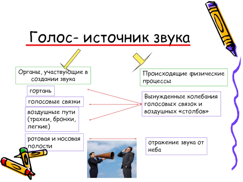 Что является источником голоса человека. Голос - источник звука. Роль звука в жизни человека. Голос как источник звука. Пример роль звуков в жизни животных.