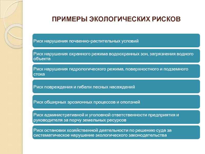 Риски экологического проекта