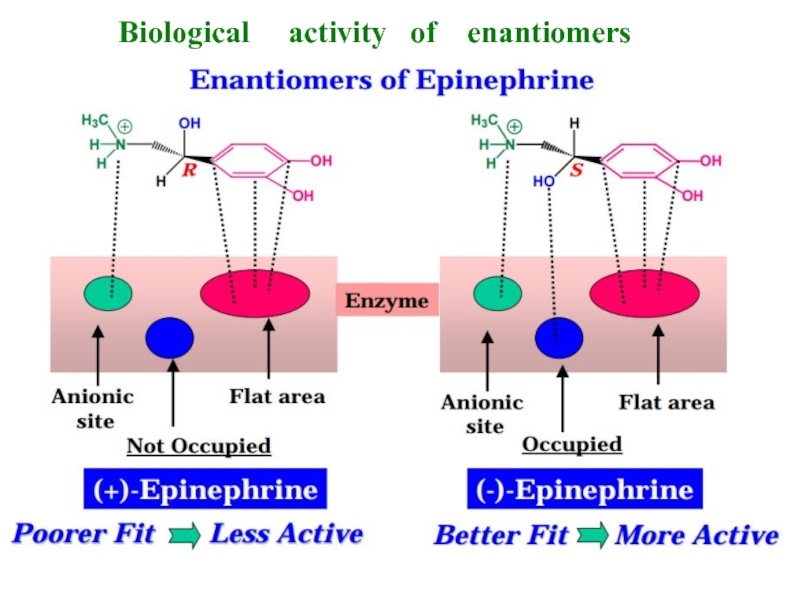 Biological   activity  of  enantiomers