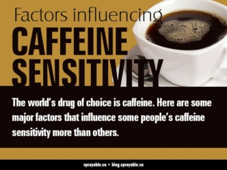 Top Factors Influencing Caffeine Sensitivity