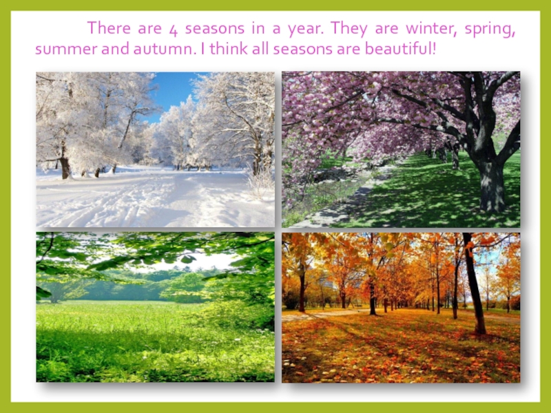There are 4 seasons in a