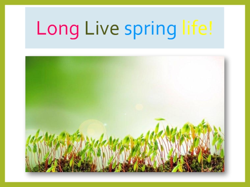 Long Live spring life!