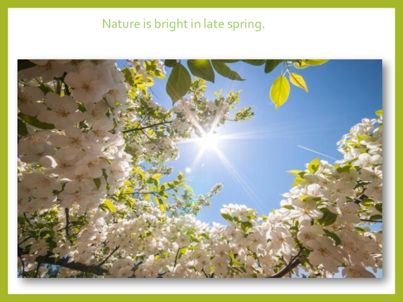 Nature is bright in late spring.