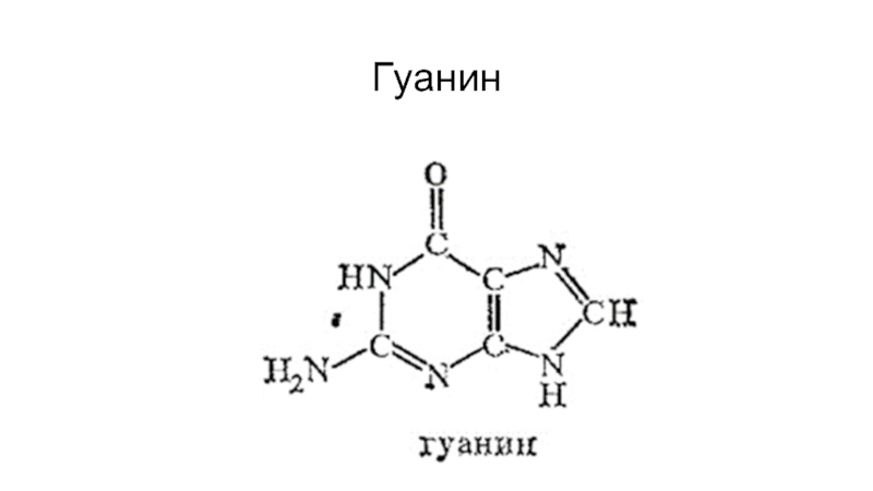 Гуанин входит в состав молекул