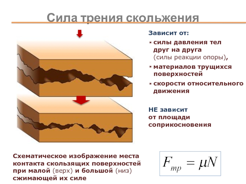 Коэффициент трения поверхности. Как сила трения зависит от площади. Коэффициент трения скольжения дерева по дереву. Зависимость силы трения от площади. Сила трения зависит.