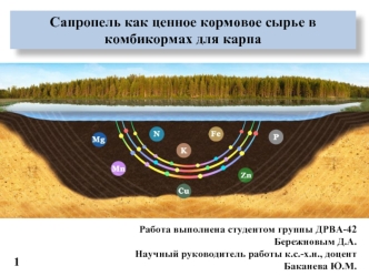 Сапропель, как ценное кормовое сырье в комбикормах для карпа