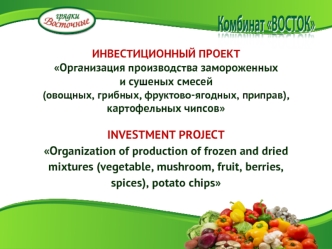 INVESTMENT PROJECT 
Organization of production of frozen and dried mixtures (vegetable, mushroom, fruit, berries, spices), potato chips