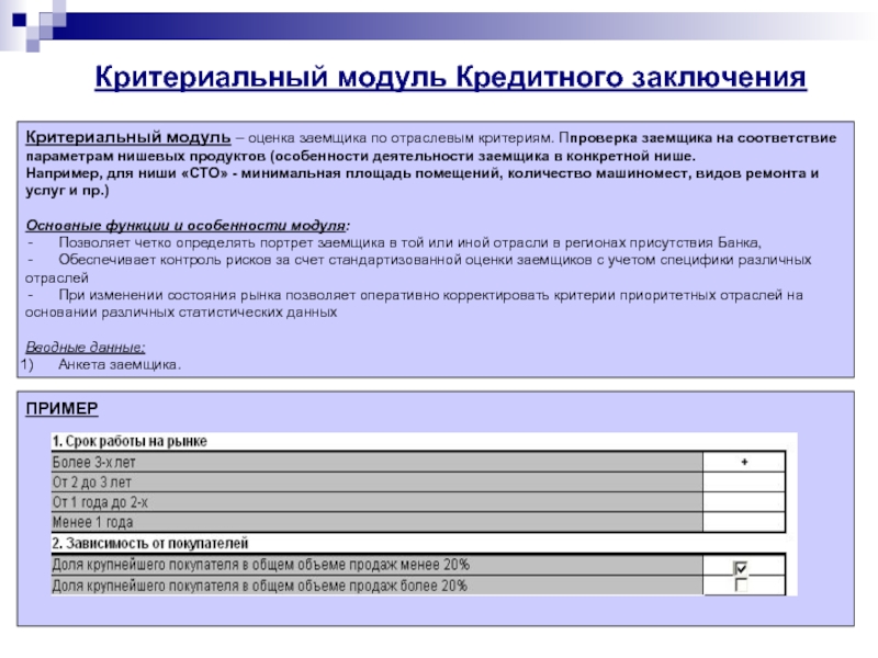 Кредитное заключение. Оценочный модуль. Оценить модуль. Кредит модуль. Реальность деятельности заемщика.